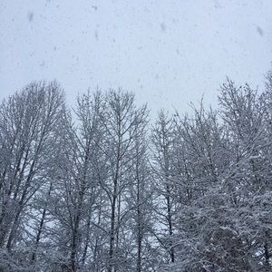 Meet your Posher, Jillian